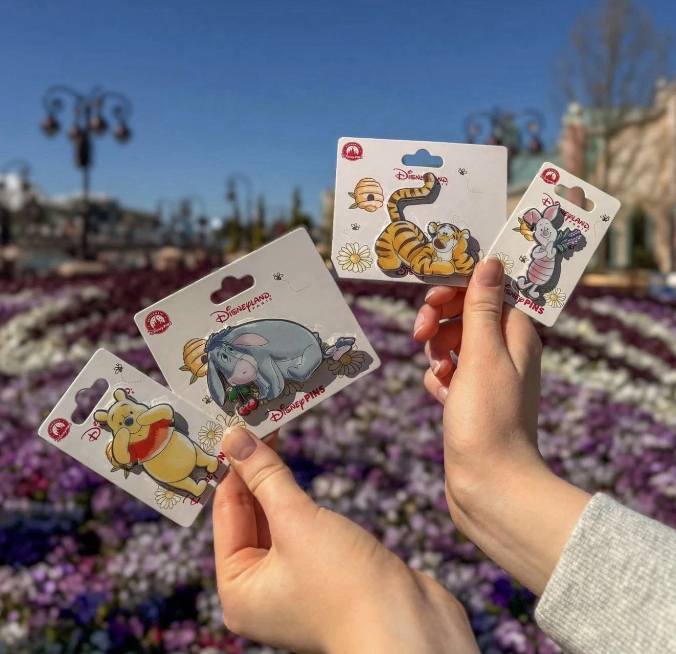 Set of 4 Disneyland Paris Pins - Winnie the Pooh & Friends Collection