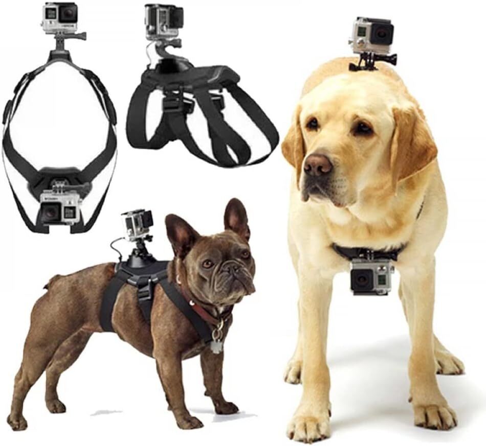 Dog Harness for Gopro, Soft and Adjustable Gopro Dog Harness for
