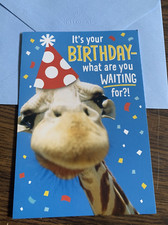 Happy Birthday Funny Son Nephew Niece Giraffe 5  x7  Hallmark Greeting Card