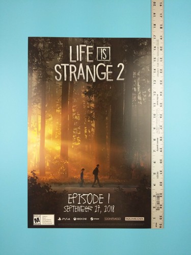 Double-Sided Art Print Poster 11x17\