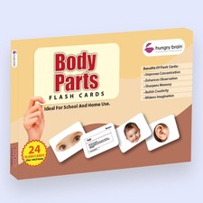 Hungry Brain Body Parts Flash Cards for Toddlers  Babies 