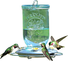 Mason Jar Vintage Style Glass Hummingbird Feeder 785-1SR - Humming Bird Feeders