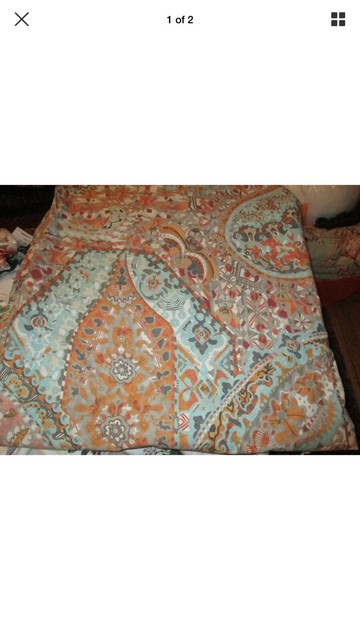 Pottery Barn Paloma Paisley Queen Full Organic Duvet Cover And 3