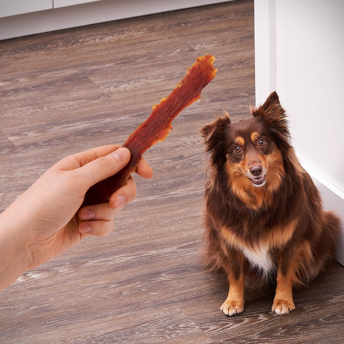 Golden Rewards Duck Flavor Premium Dry Jerky Treats for All Dogs