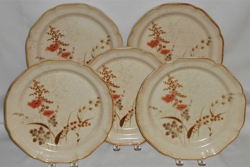 Set (5) Mikasa Country Charm STROHBLUMEN MUSTER Steinzeug SPEISETELLER - Bild 1 von 9