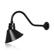 10 in. RLM Angle Shade With Gooseneck Arm & 9W A19 5000K LED Bulb