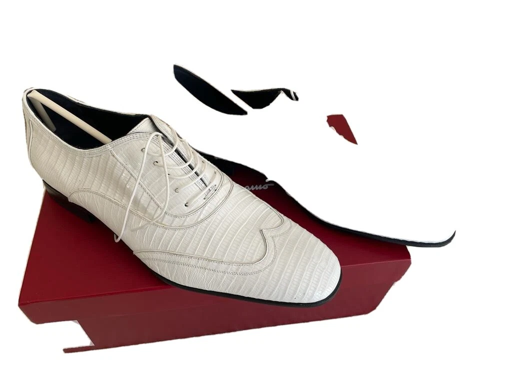Salvatore ferragamo hotsell mens shoes ebay