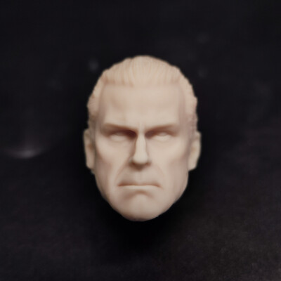 1/12 Ray Stevenson Head Sculpt Carved For 6'' ML Male Action Figure Body Toys