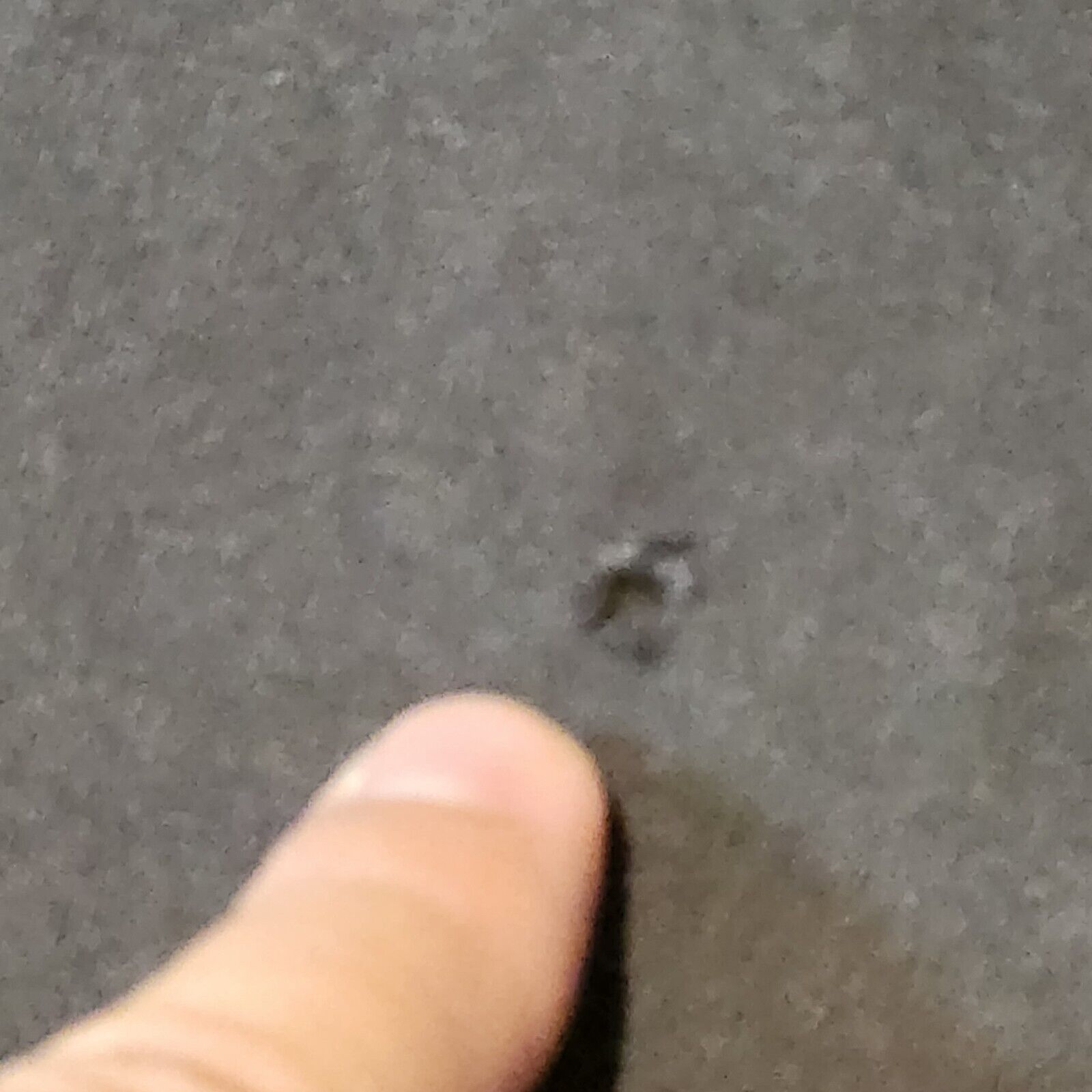 Picture 9 of 13