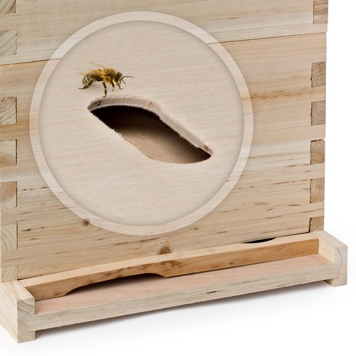 Beehive 20 Frame Complete Box Kit (10 Deep-10 Medium) Langstroth Beekeeping - Picture 5 of 7
