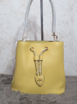 COACH Rowan Bucket Bag Dark stone CBH06 outlet F/S JPN Tax