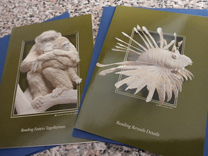 2 Blank Art Cards & Envelopes READING Follett Library Real Art Photos 5.8"X4.5"