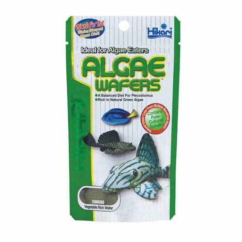 Hikari Algae Wafers 1kg Tropical Fish Food Spirulina Catfish Plecos NEW STOCK - Picture 4 of 4