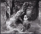 Anita Pallenberg great scene from BARBARELLA 1968 original movie photo 48921