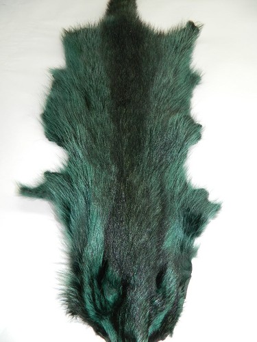 TANNED GREEN RACCOON FUR SKIN PELT DYED DESIGN WITH TAIL - Picture 2 of 4
