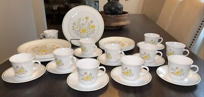 Corning Corelle Expressions Meadow Service For 7+ Extras