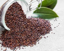 10 LB Quinoa Roja Sin gluten, Vegana, no transgénica, fresca. 10 LB Perú