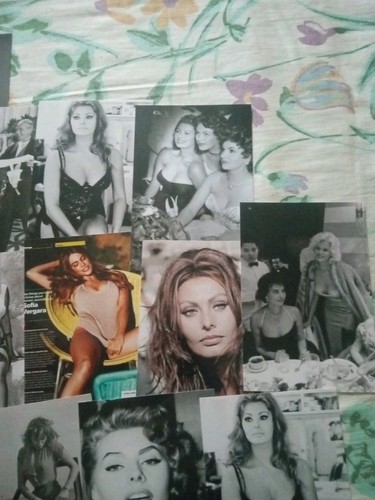 Sophia Loren - 4"x 6" Color & Black White PHOTOs - 30+ photos lot SL15 - Picture 23 of 24