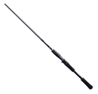 Bass Light Fishing Rods & Poles 2