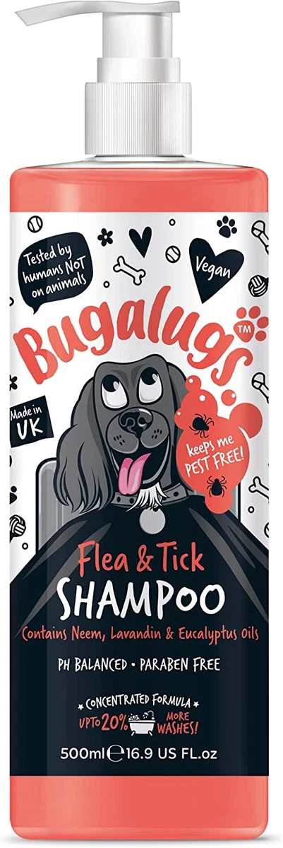 Best flea hot sale shampoo for humans
