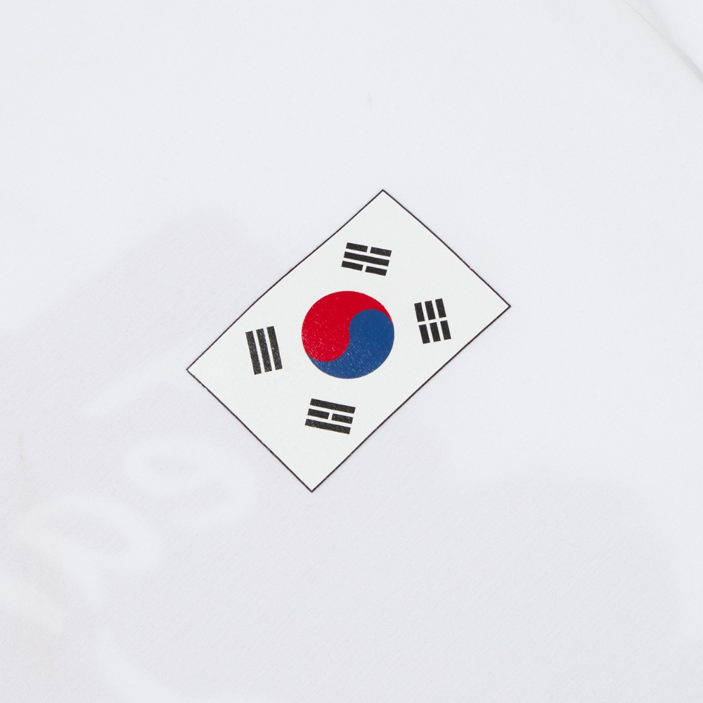 The North Face PO TEAMKOREA COLORING S/S R/TEE/R Replicas