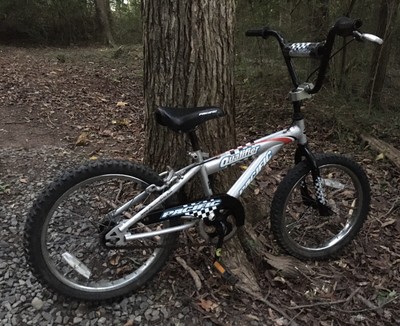 Pacific Qualifier 18” BMX Bike Used | eBay