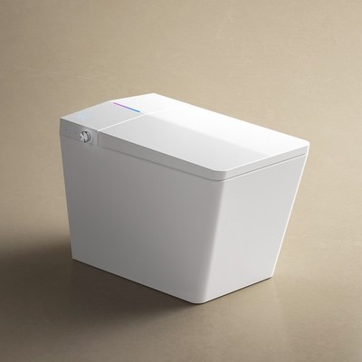 Square Smart Toilet with Built-in Tank, Remote Control, Heated Bidet Seat, White