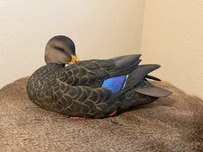 Ducks Unlimited #1 Black Duck Drake Full Size Decoy by Jett Brunet NIB