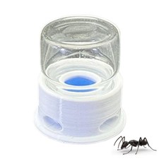 Transparent Ant Feeder Crickets Water Station Anti-Drowning Drinking Feeder