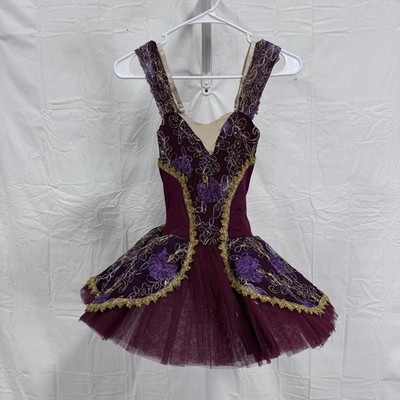 Art Stone Delight of Muses Dance Costume Size Medium Child