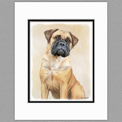 Bullmastiff Dog Original Art Print 8x10 Matted to 11x14