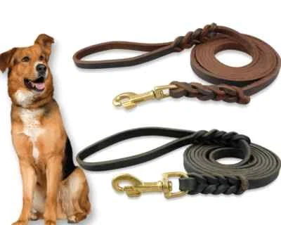 PAUL WALTER Genuine Leather Dog Leash Heavy Duty Training Lead for Small Medium Large Dogs