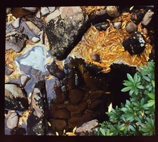 VINTAGE Magic Lantern Slide ROCK POOLS TORRIDON HOUSE C1960 PHOTO SCOTLAND 