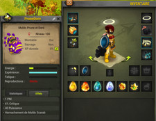 compte dofus - Cra opti lvl 200 Ocre / Pourpre / Nebuleux / Tutu / exo PA 