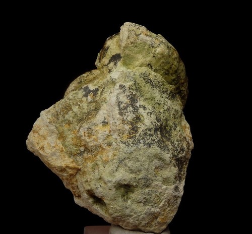 AMMONITE - Taramelliceras --- GIURASSIC Oxfordian --- POLACCA - Podleze /pf747 - Foto 7 di 8