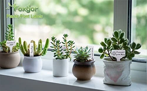 200 Pcs Plastic Plant Labels 4 Inch Waterproof Plant Tags and Labels for Seed - Image 4 of 4