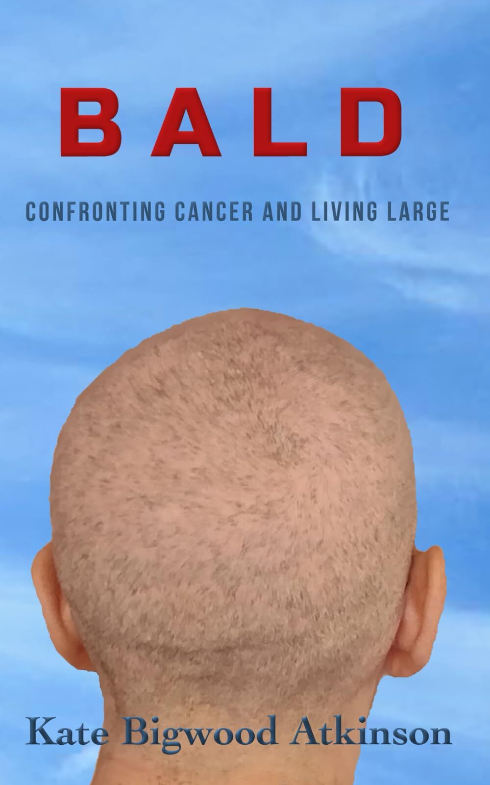 Kate Bigwood Atkinson Bald (Tascabile)