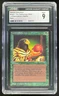 1993 Magic The Gathering Limited Edition Alpha Rare Natural Selection CGC 9