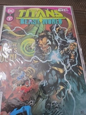 Titans: Beast World #2 Ivan Reis & Danny Miki Cover (DC Comics February 2024)