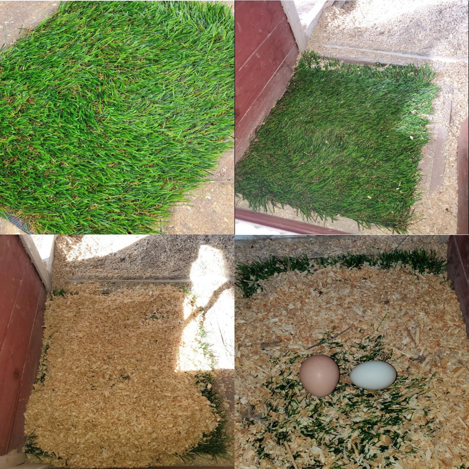 Picture 4 of 7