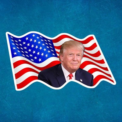 BALD EAGLE USA FLAG removable reusable vinyl decal sticker for car ~ truck