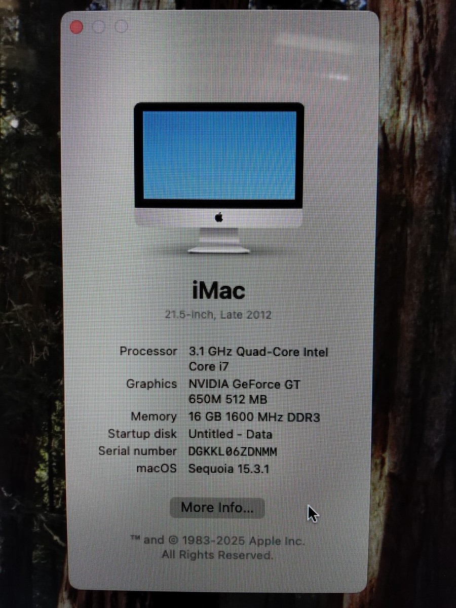 APPLE IMAC 21.5