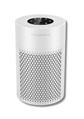 Air Purifier for Home, Bedroom & Office, H13 True HEPA Filter, Smart Air