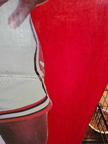 vintage 1987 Michael Jordan Chicago Bulls life-size cardboard cut out. - Picture 8 of 13