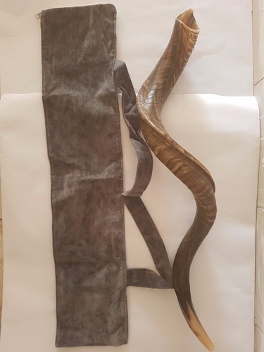 Shofar Kudu Jemenite Horn 45" 114Cm Full Natural Israel Notes E+-,F+-,G+, + BAG - Bild 2 von 10