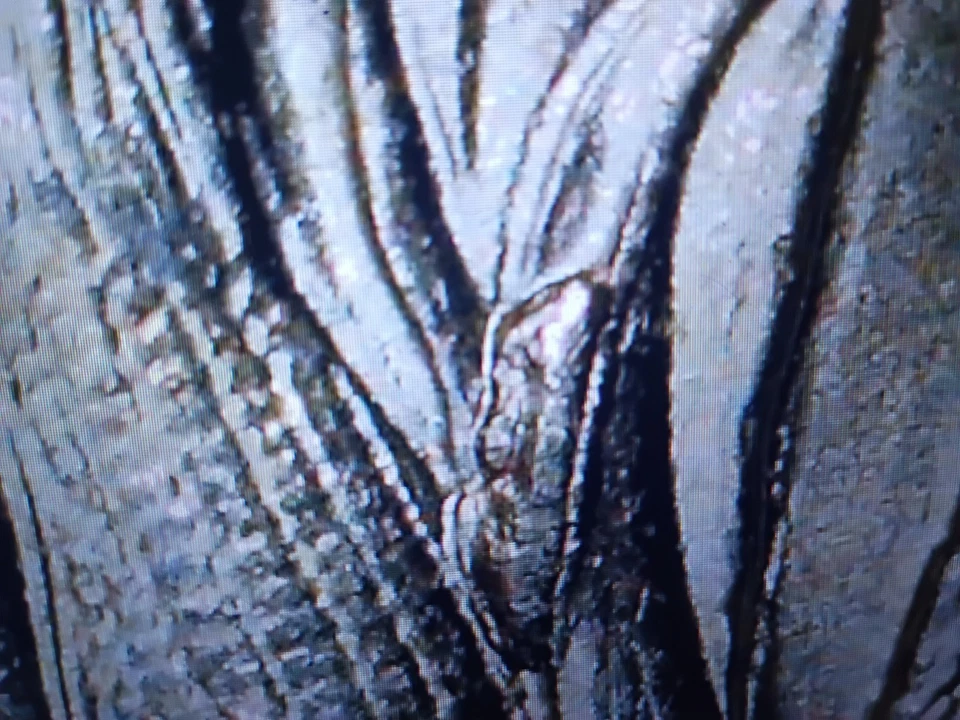 2015 Wash. Homestead Quart. Heavy Rev Die Breaks On Top Of Bldg + More. C Pics. - Image 4 of 4