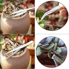 1-12PCS Garden Planting Tool Set Bonsai Succulent Transplanting Miniature SVPP