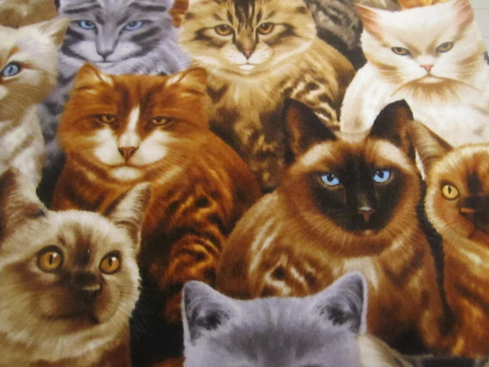 Хлопковая фланелевая ткань для кошек котят кошек Timeless Treasures 1 ярд 8x42 - Изображение 4 из 4