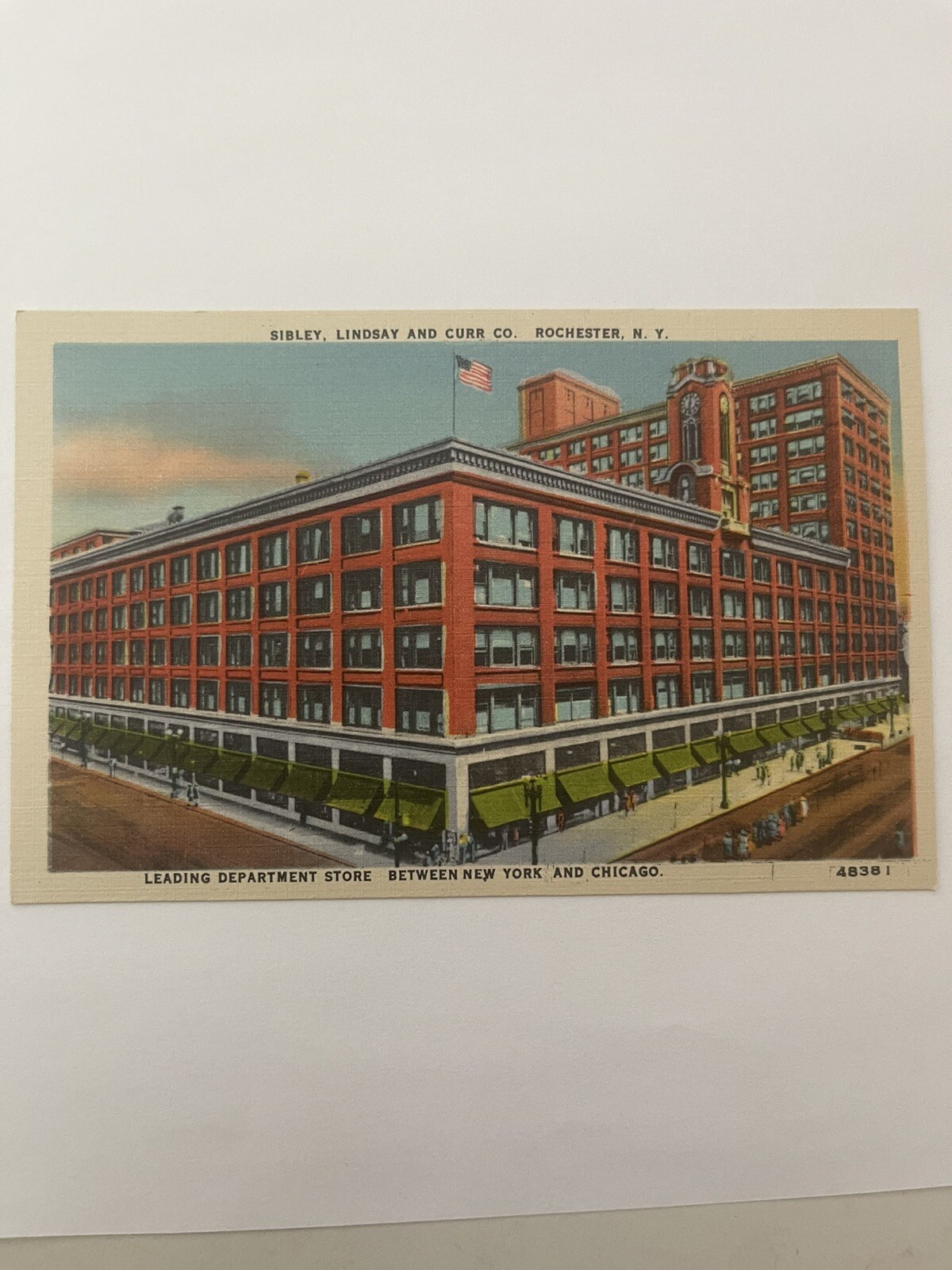 PostcardSibley Lindsay And Curr Company Department Store Rochester NY