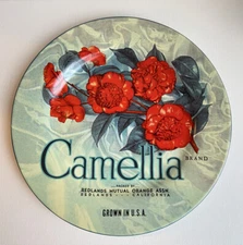 Oneida Vintage Label Collection Plate, Camellia, 8” Dishwasher/Microwave, EUC